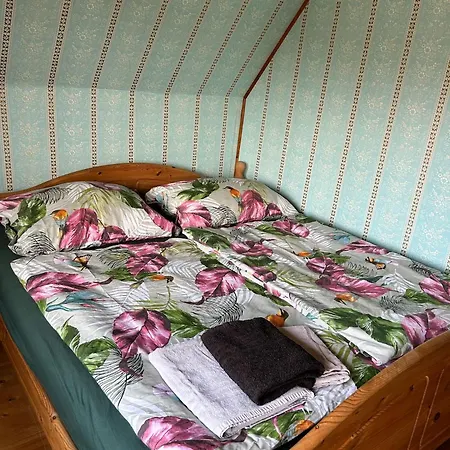 Kozlov بيت للعطل